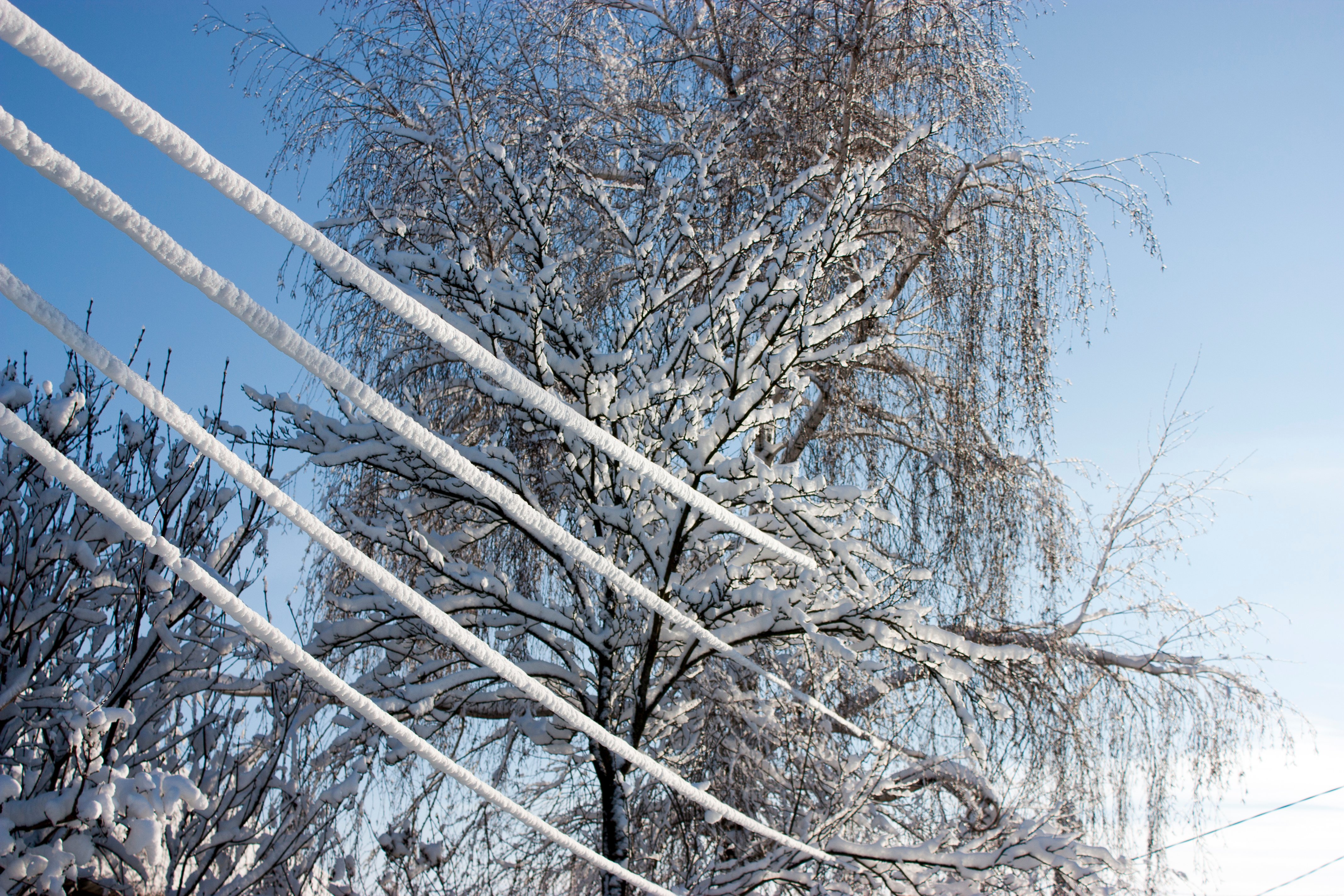 shutterstock_1006604527