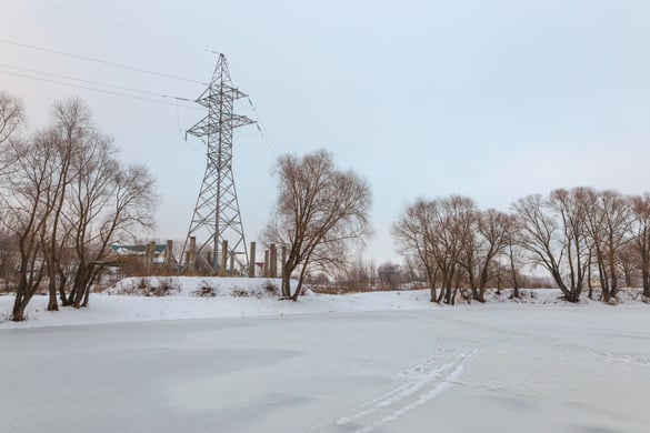 shutterstock_560139064